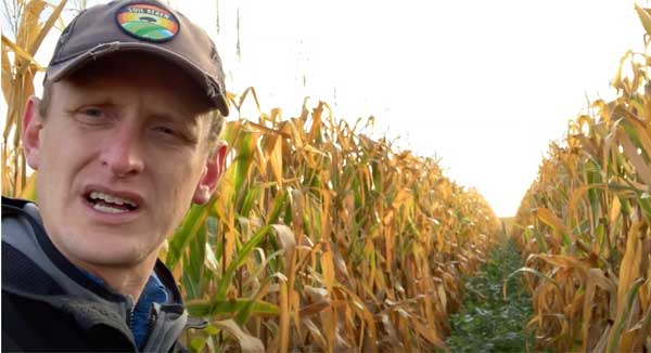 Lance standing in cornfield