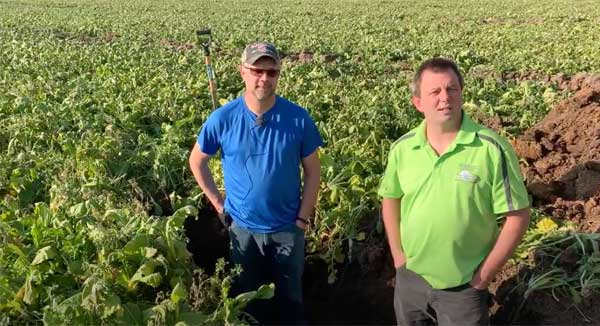 Two men standing in soil pit in farm field