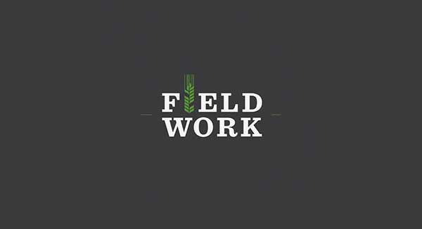 field work logo