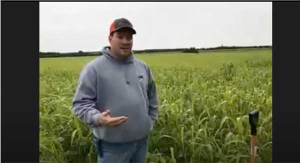 Man standing in farm field