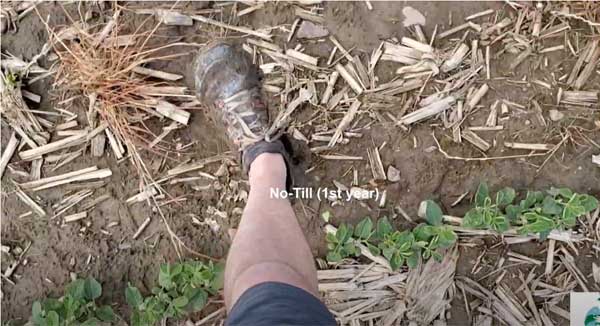 Man's foot stepping on soil of farm field