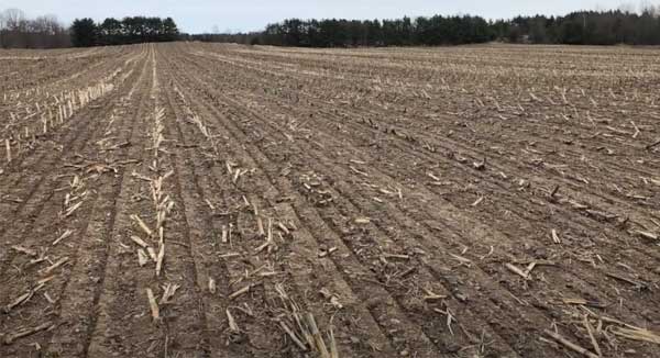Farm field soil