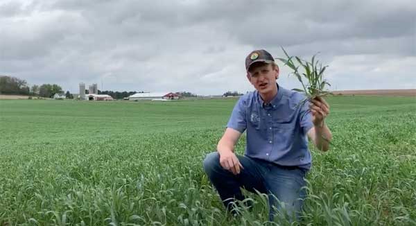 Man squatting in farm field holding up plant