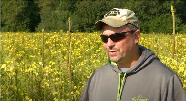 Man talking with wildflowers behind him