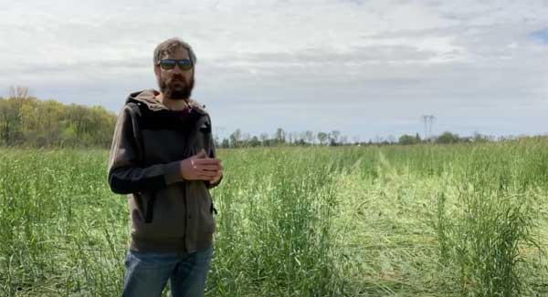 Man talking in farm field