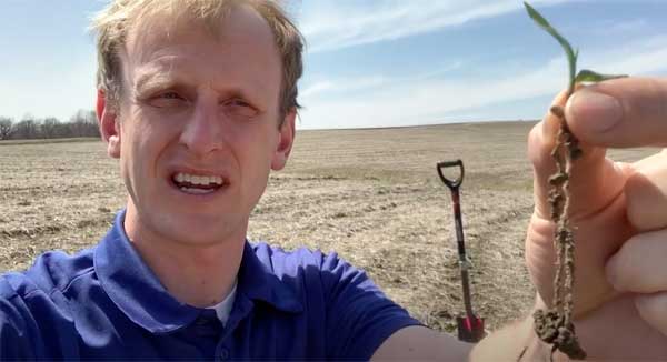 Man holding up crop root