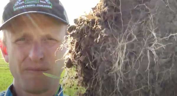 Man holding up soil with roots