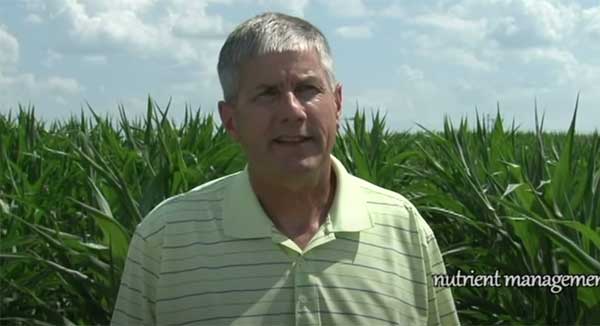 Farmer standing in corn field