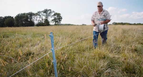 Man rolling electric fence in pasture