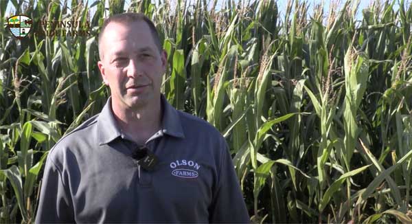 Farmer standing in front of corn