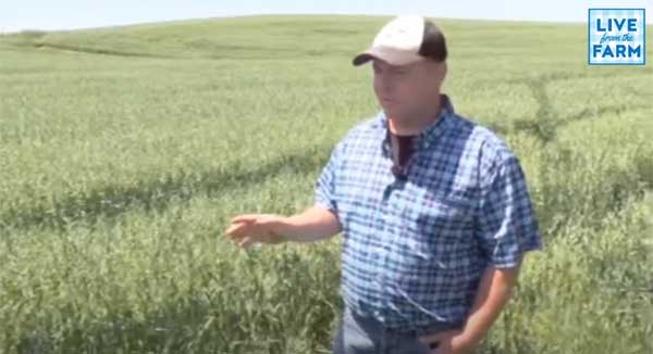 Extended Rotations With Red Clover - Live From the Farm - One Good Idea