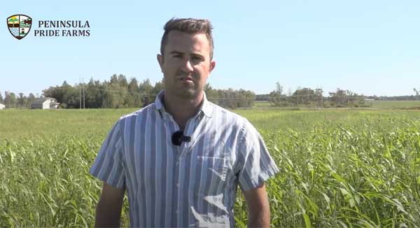 Farmer standing in field