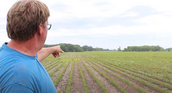Farmer pointing to his crop field