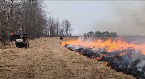 Men in a field doing a prescribed burn