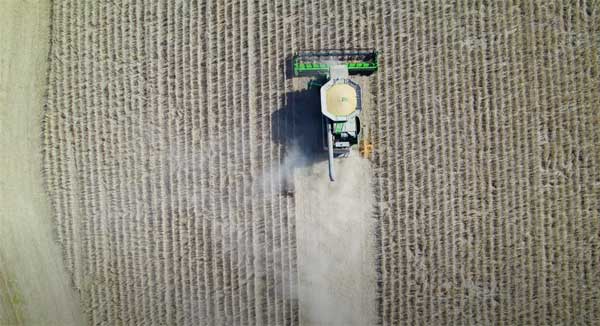 Aerial view of planter