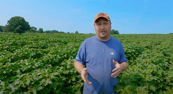 Man in soybean field