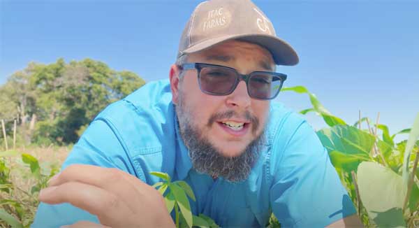 Man lying down in crop field