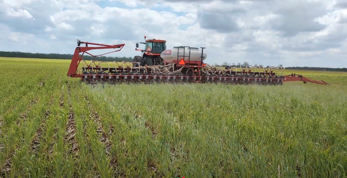 Interseeder planting cover crops