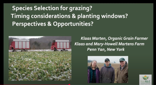 PowerPoint slide about grazing cover crops