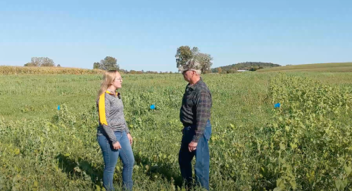 Woman and man talking in a farm field