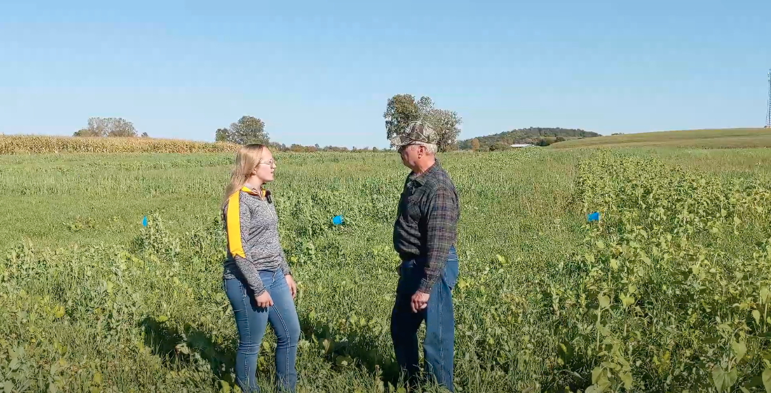 Woman and man talking in a farm field