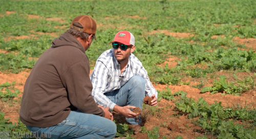 Two man crouched in farm field talk about soil