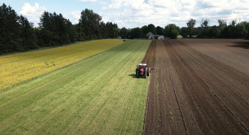 Tractor in a potato field