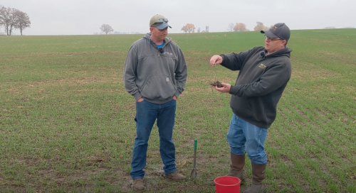 Two men standing in a rainy farm field