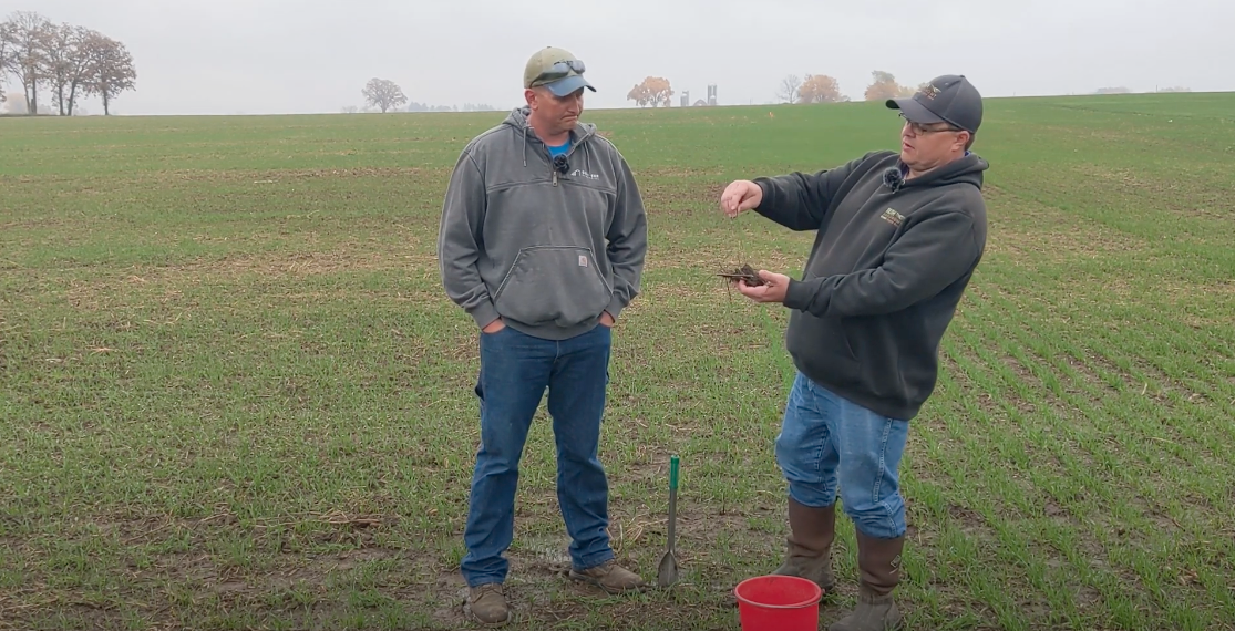 Two men standing in a rainy farm field