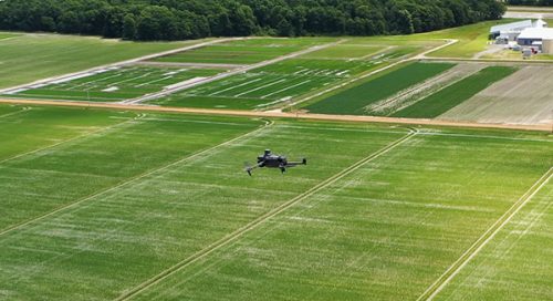 Drone flying over rice field