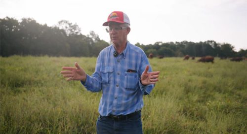 Male farmer standing in pasture with cattle behind him