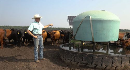 Male farmer standing with cattle next to a solar powered water pump